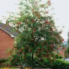 150-200 cm*Omnia Garden Hot