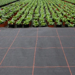 Agrimpex Argola 2x10 m Svart*Jabo Hot