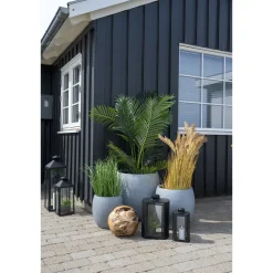 Areca 175 cm*House Nordic Online