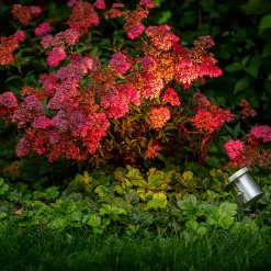 Arigo LED-Spot i Rostfritt Stål*Gardenlights Sale