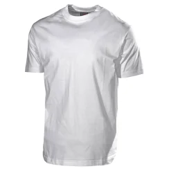 600B*L.Brador