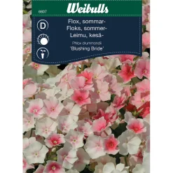 Blushing Bride*Weibulls Discount