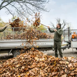 BR 800*Stihl Discount