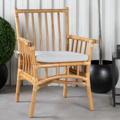 Cane Bambu*Venture Home Sale