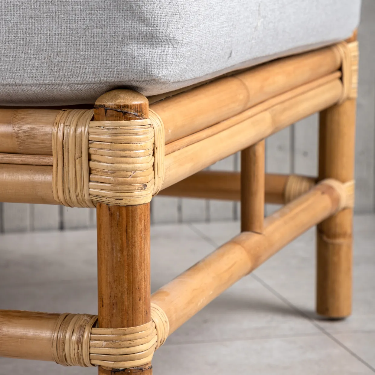 Cane Mittmodul
