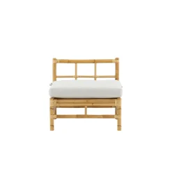 Cane Mittmodul