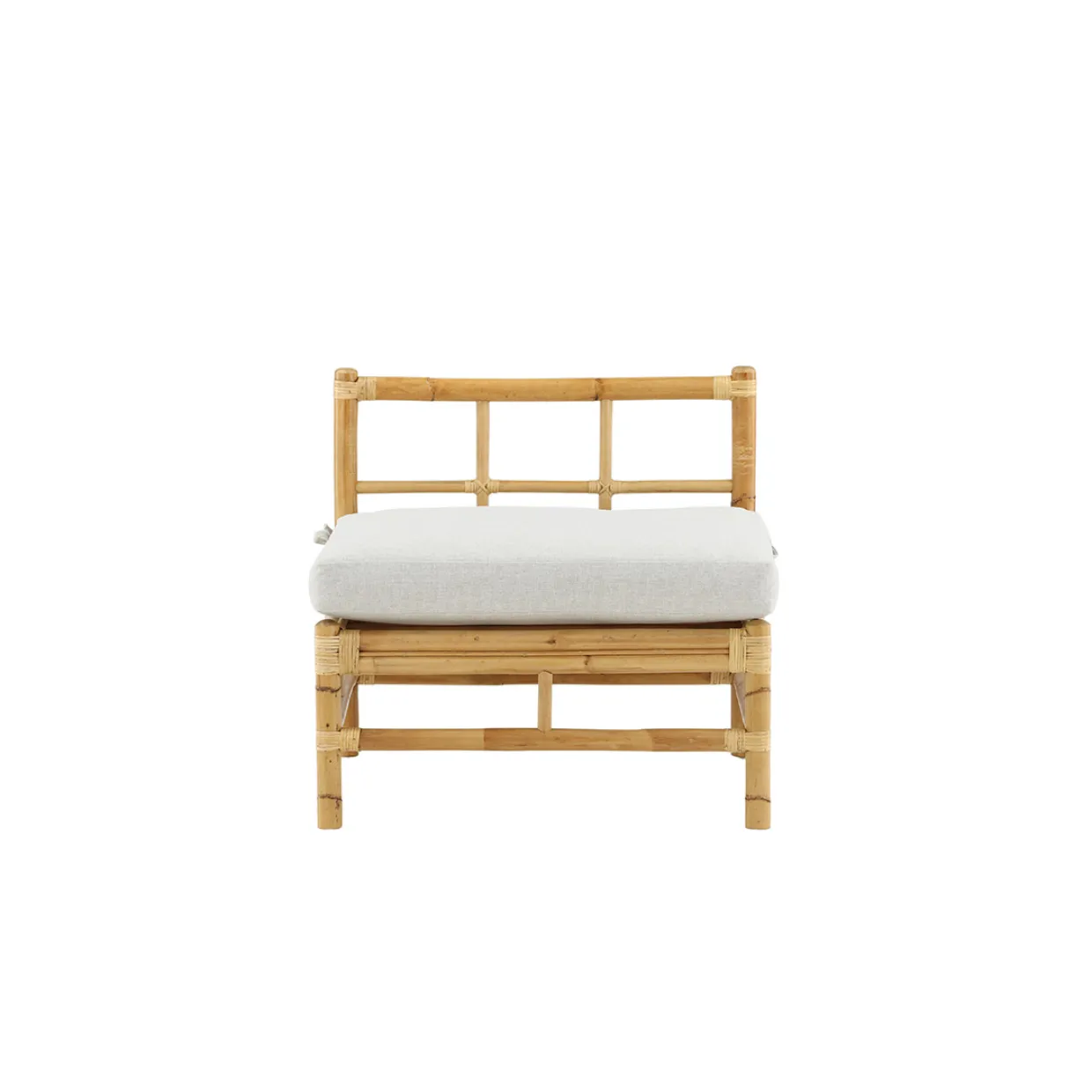 Cane Mittmodul