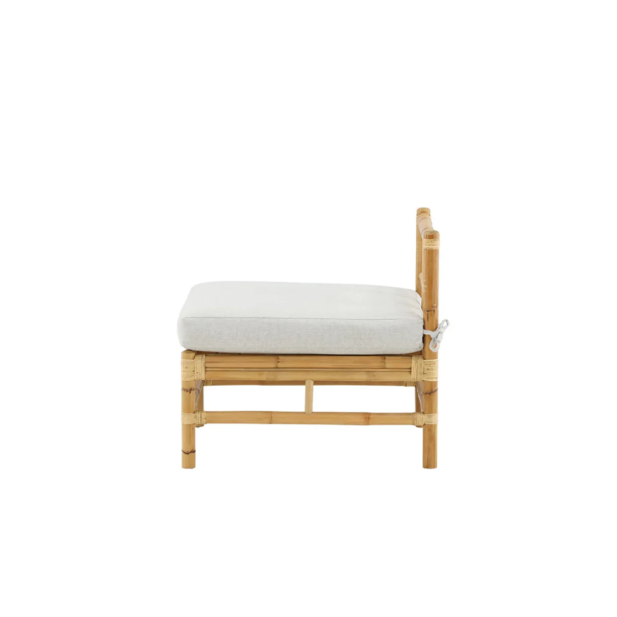 Cane Mittmodul