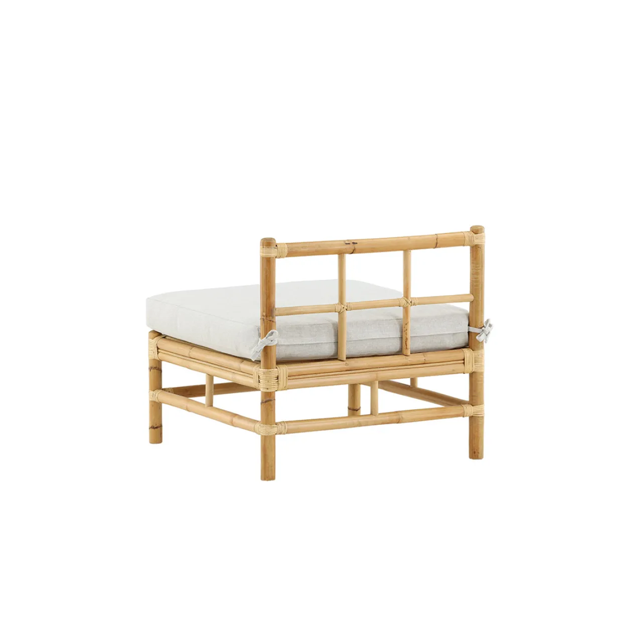 Cane Mittmodul