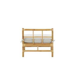 Cane Mittmodul