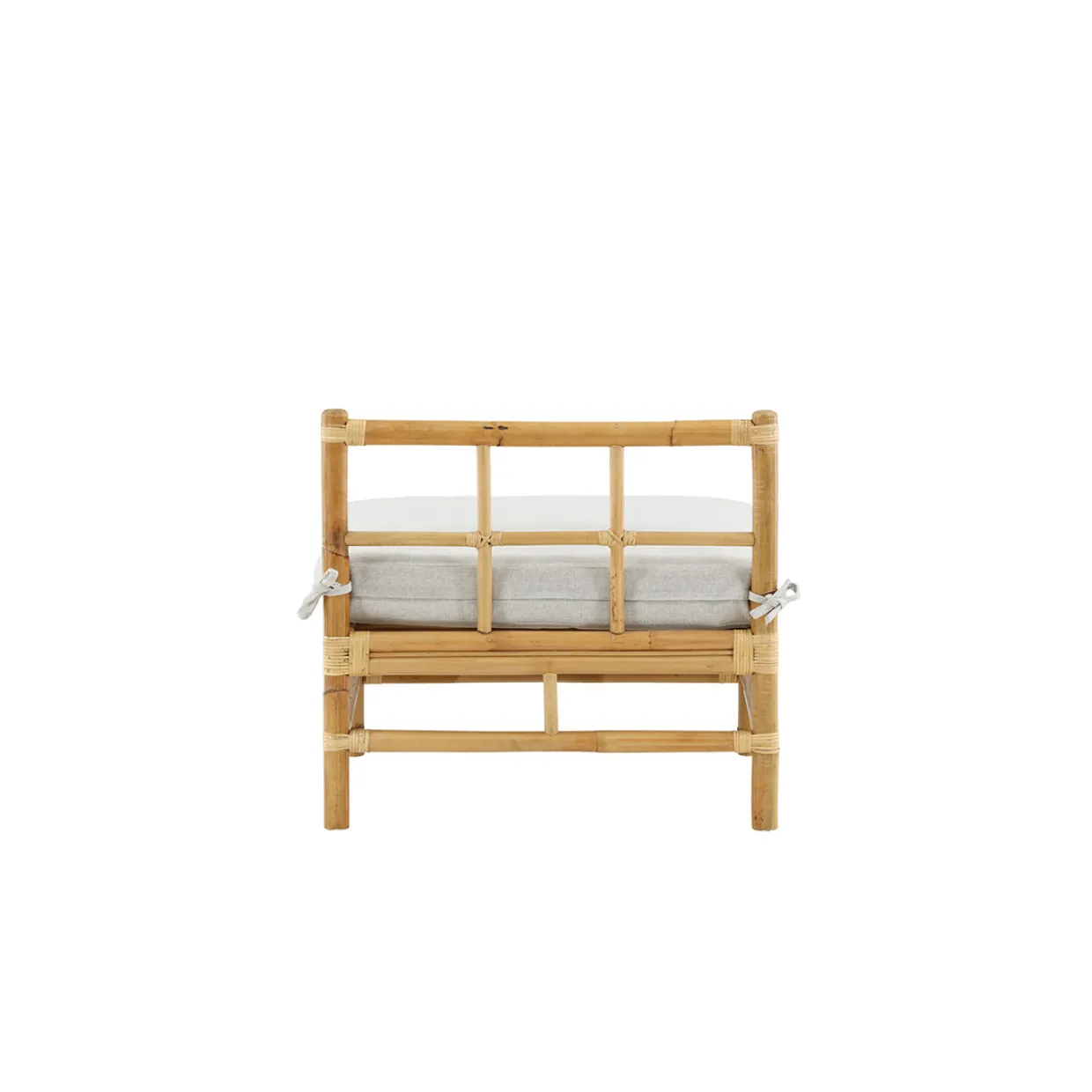 Cane Mittmodul