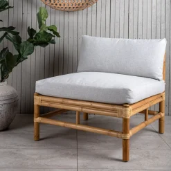 Cane Mittmodul