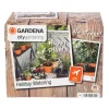 City Gardening*Gardena