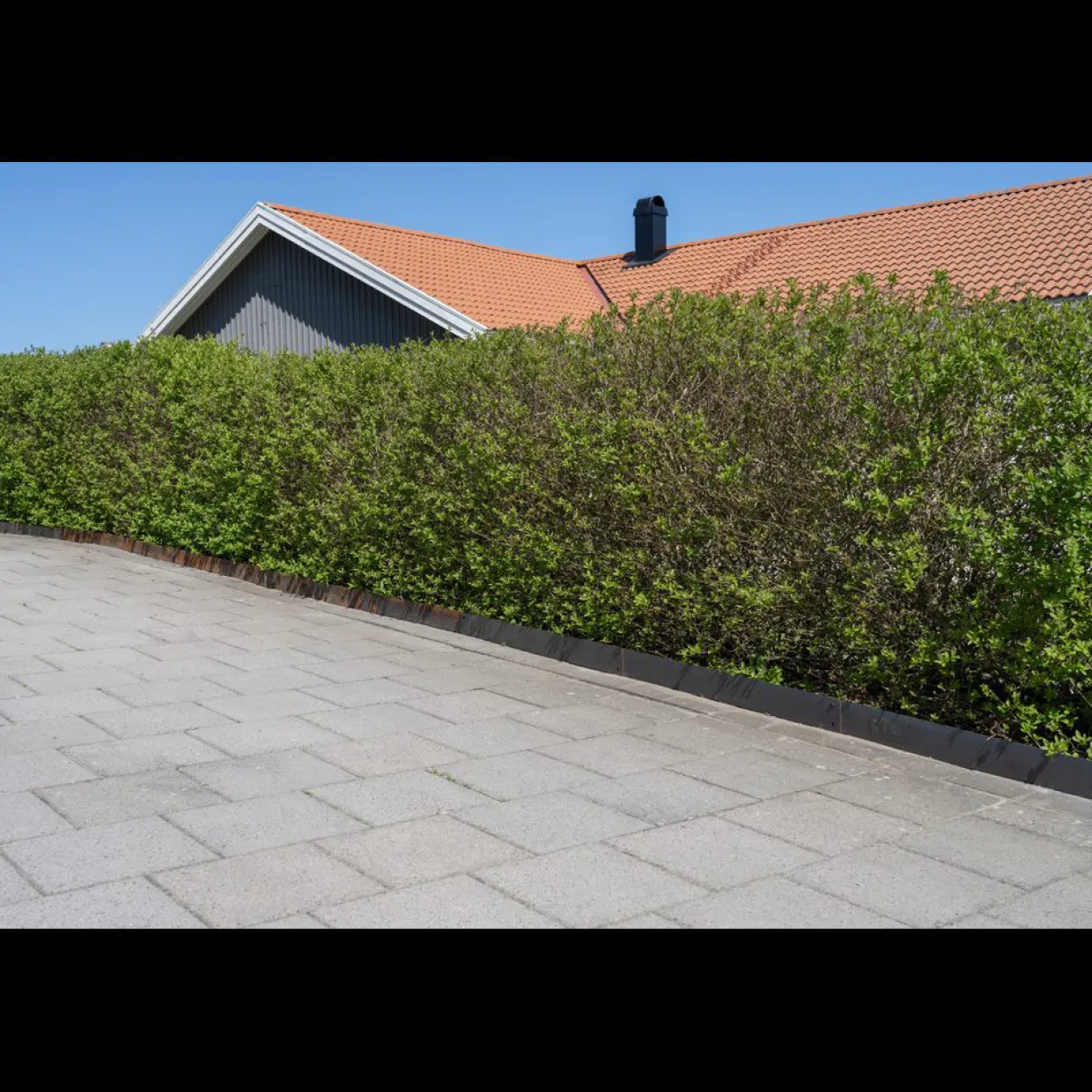 Corten Odlingskant 4-pack, Rostfärg, 18x100 cm