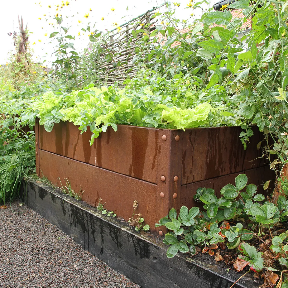 Cortenplåt 2 mm 800x1200x400 mm*Flexigarden Online