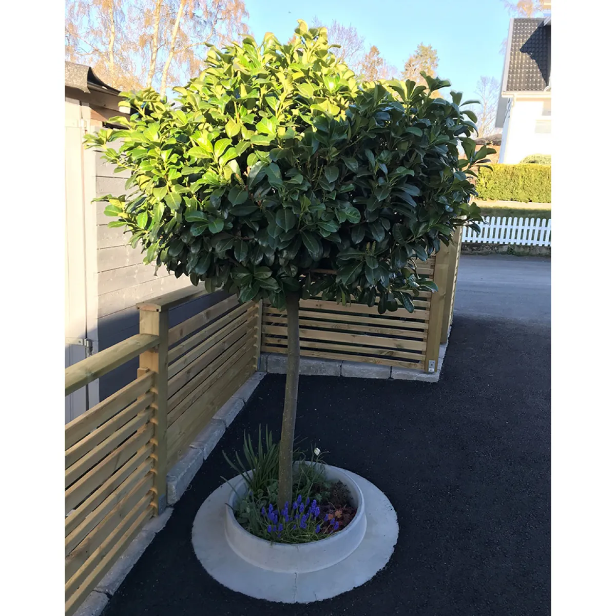 Domsand Betong 80 cm*Design Björn Lidbrandt Discount