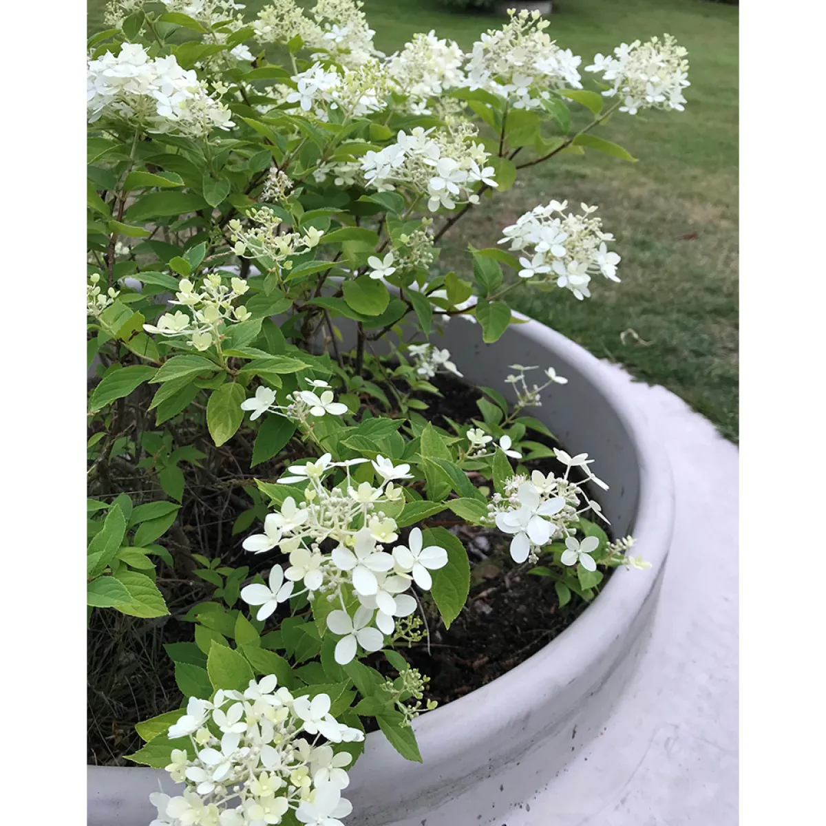 Domsand Betong 80 cm*Design Björn Lidbrandt Discount