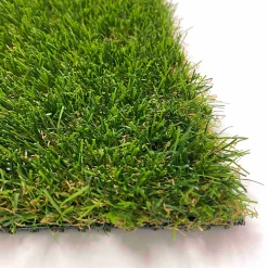EasyGreen*ScanTurf Best