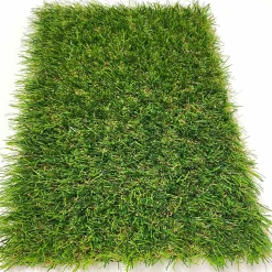 EasyGreen*ScanTurf Best