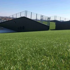 EasyGreen*ScanTurf Best