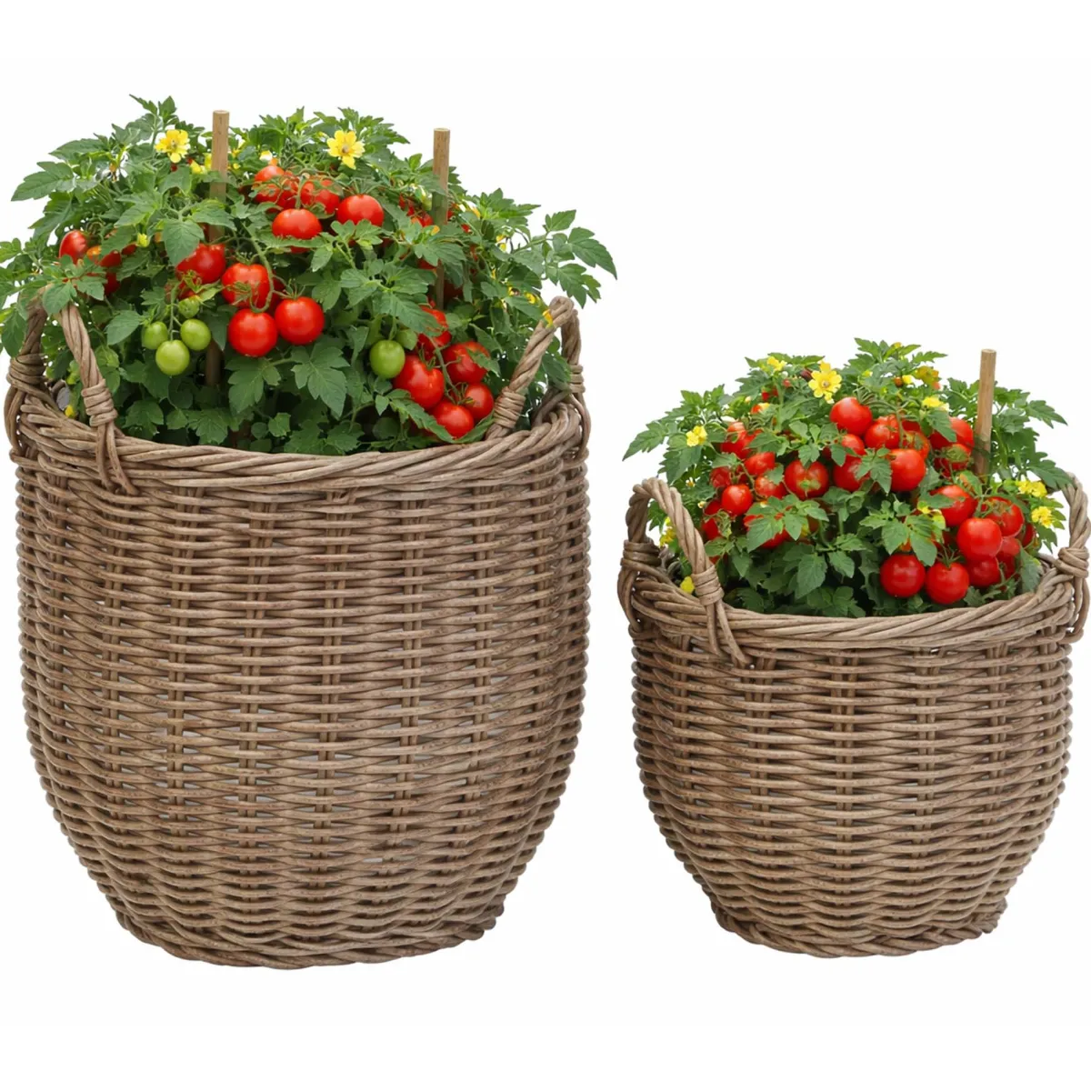 EGG planteringskorgar 2-set x 4*Baltic Garden New