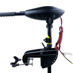 Elektrisk Cruise 55LBS