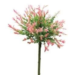 Eukalyptusvide - Träd med Grönt Lövverk & Blomning 60 cm*Omnia Garden Outlet