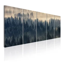Fir In The Fog*Arkiio Best
