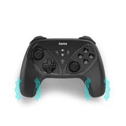 för Nintendo Switch/Switch Lite*Hama Online