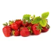 Fragaria Ananassa Malwina*Omnia Garden Hot