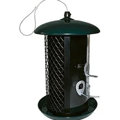 Frö/Talgboll*Ryom Discount