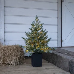 GranGreyland95 cm 80Lb*Star Trading Online