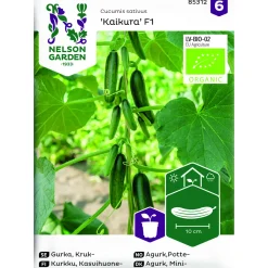 Gurka Kaikura F1 Organic Krukgurka*Nelson Garden