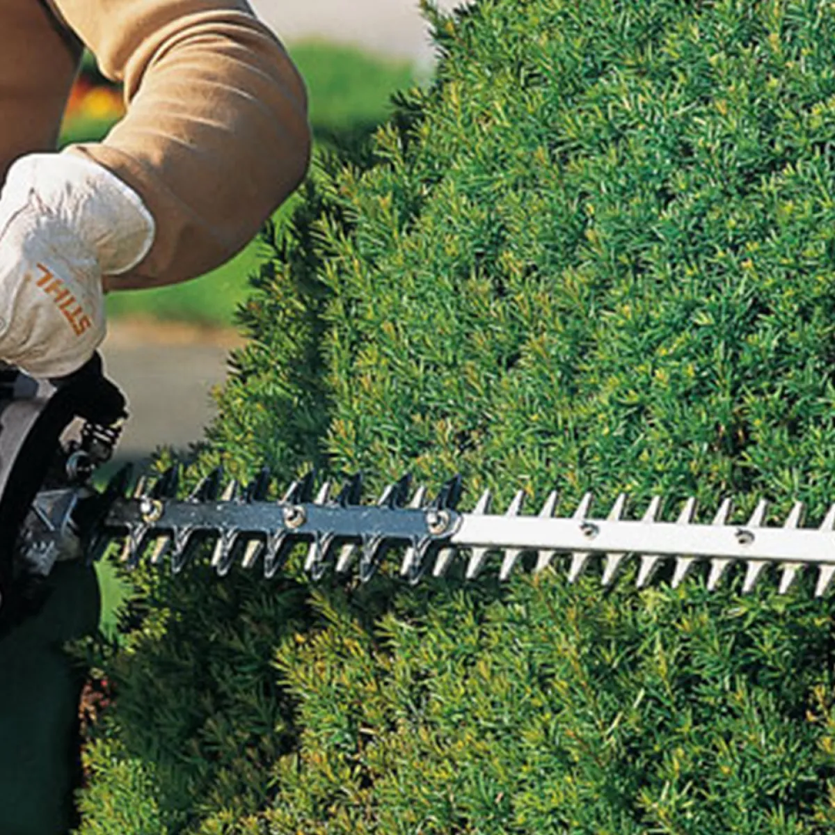 HS 45*Stihl Outlet