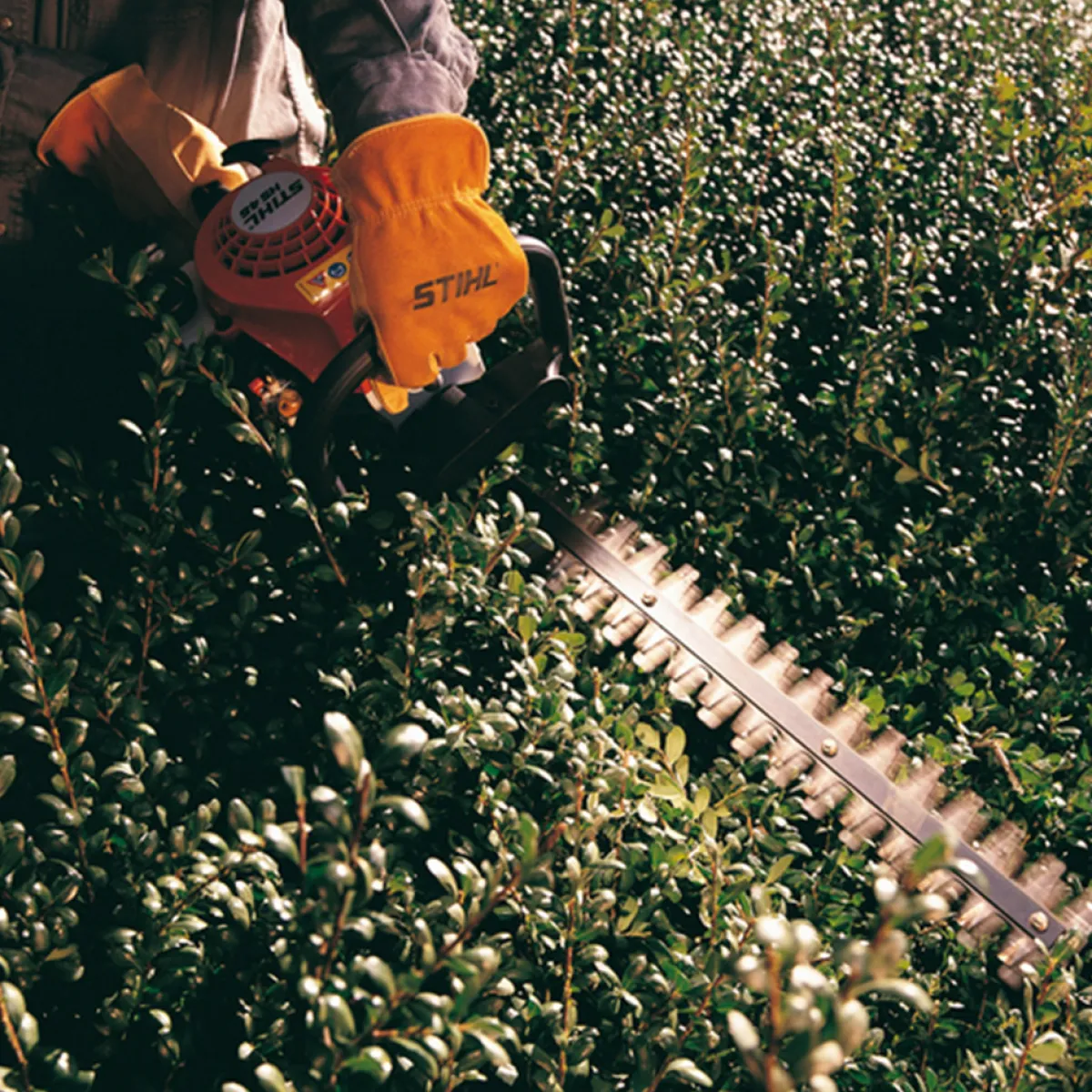 HS 45*Stihl Outlet