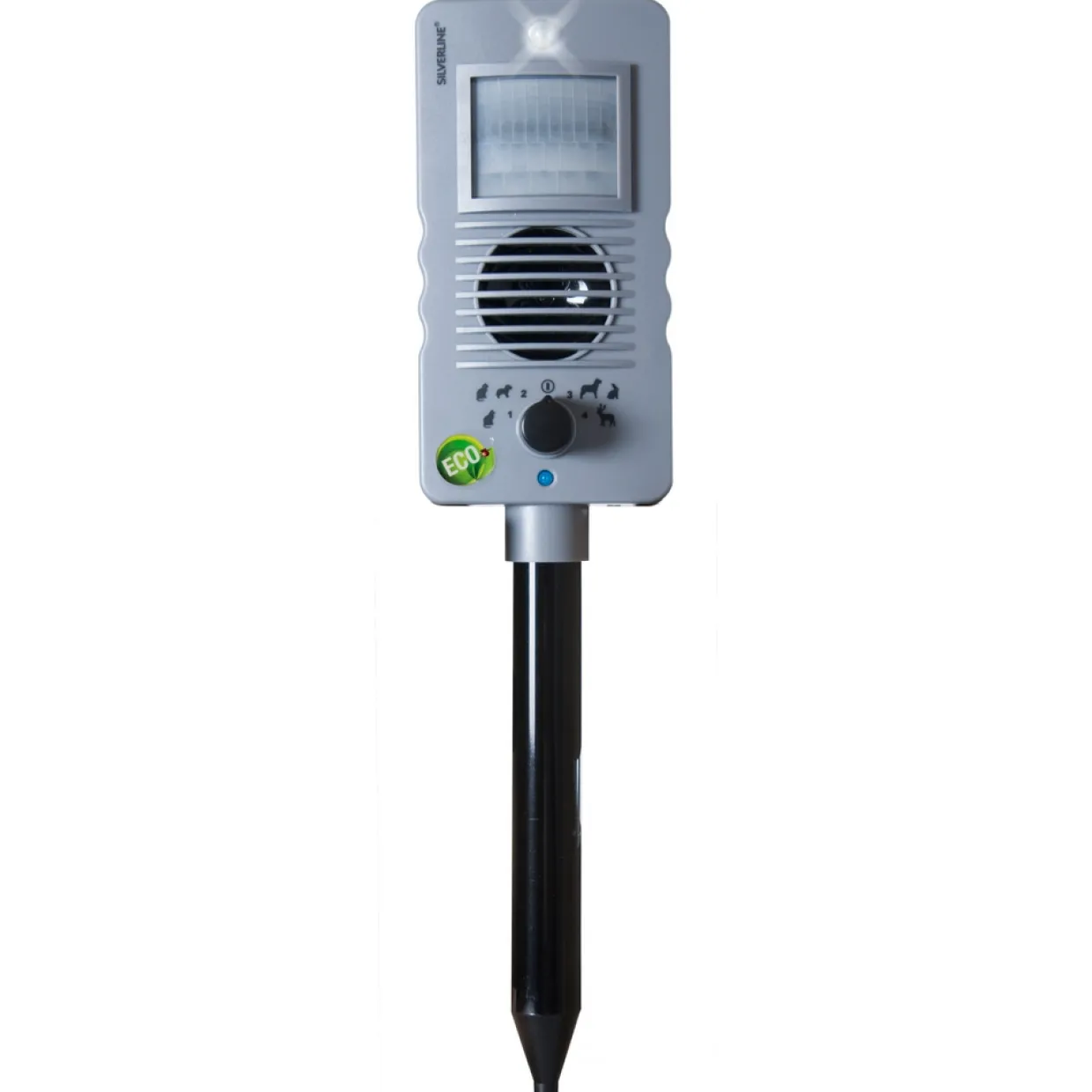 Katt och Vilt Kv300