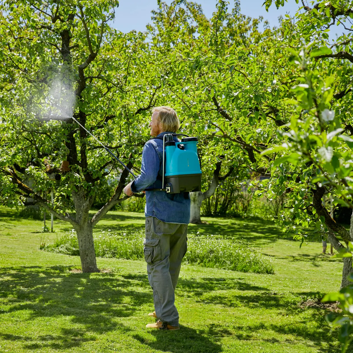 12L