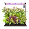 Med Startkit Svart*RobotGarden New