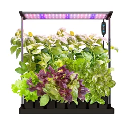 Med Startkit Svart*RobotGarden New