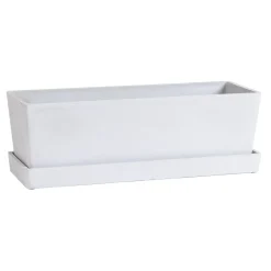 Michelangelo 30x10 Vit Till Krukor*GreenLine Online