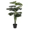Monstera*House Nordic Clearance