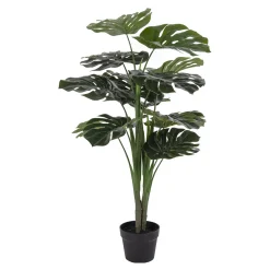 Monstera*House Nordic Clearance
