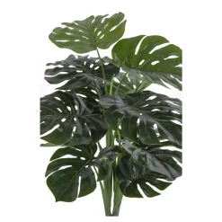 Monstera*House Nordic Clearance