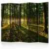 Morning in the Forest II 225x172 cm*Arkiio Best