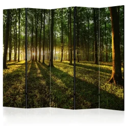 Morning in the Forest II 225x172 cm*Arkiio Best