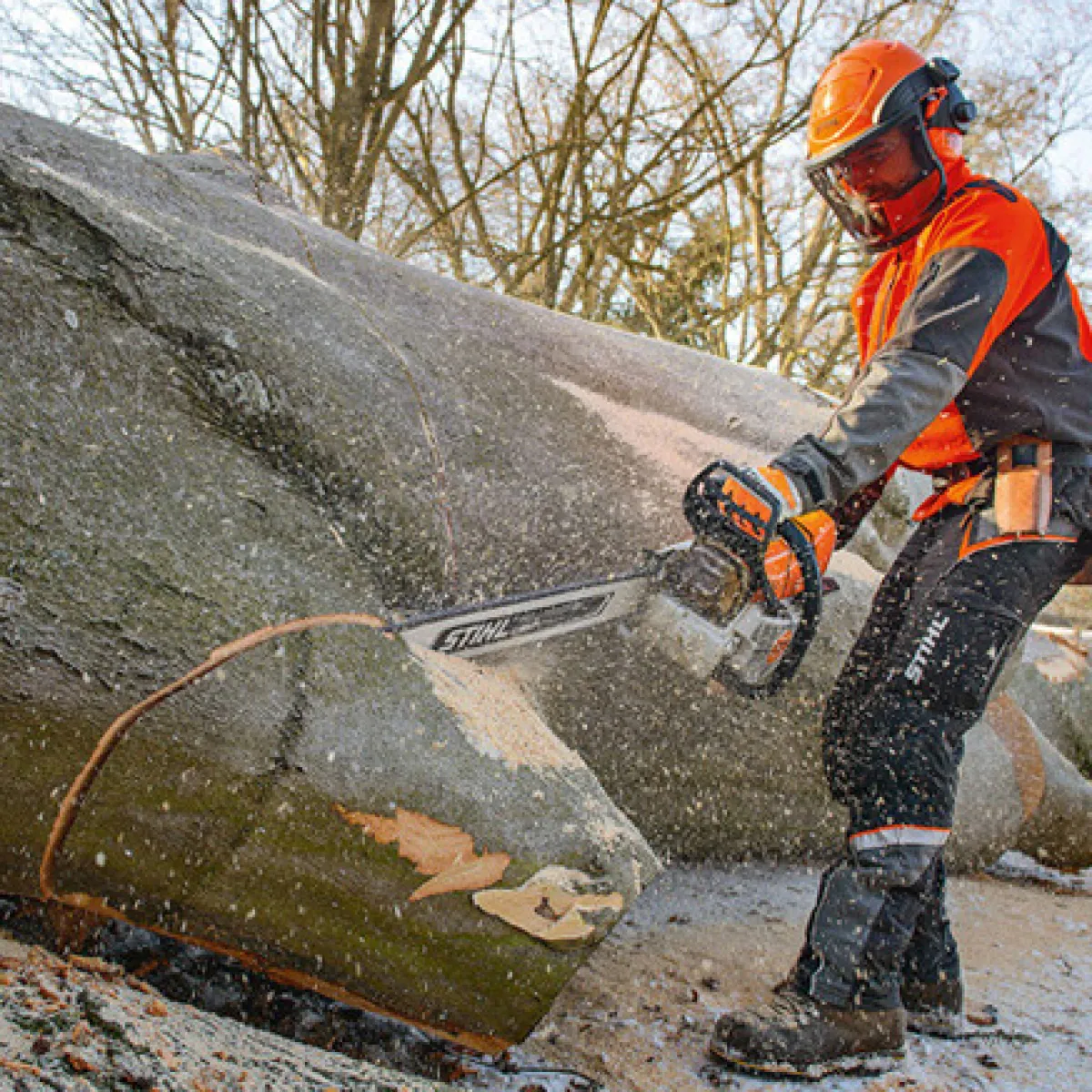 MS 661 C-M*Stihl Sale