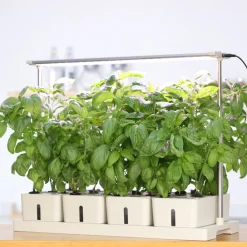 Odlingslådor Med Växtlampa & Startkit för Hemmaodling*RobotGarden Discount