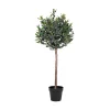 Olive*House Nordic Online