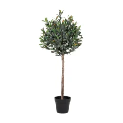 Olive*House Nordic Online