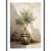 Olive Tree Mediterranean No1*Gallerix Outlet